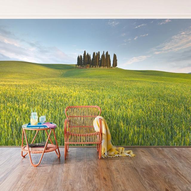 Green Field Textured Semi-Gloss Wallpaper Roll East Urban Home Size: 2,88 m x 190 cm, Materialqualität: Standard (110 g/qm) on Productcaster.