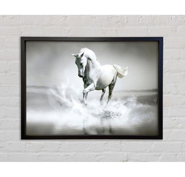 White Water Horse Framed Print Gracie Oaks Size: 100cm H x 141.4cm W on Productcaster.