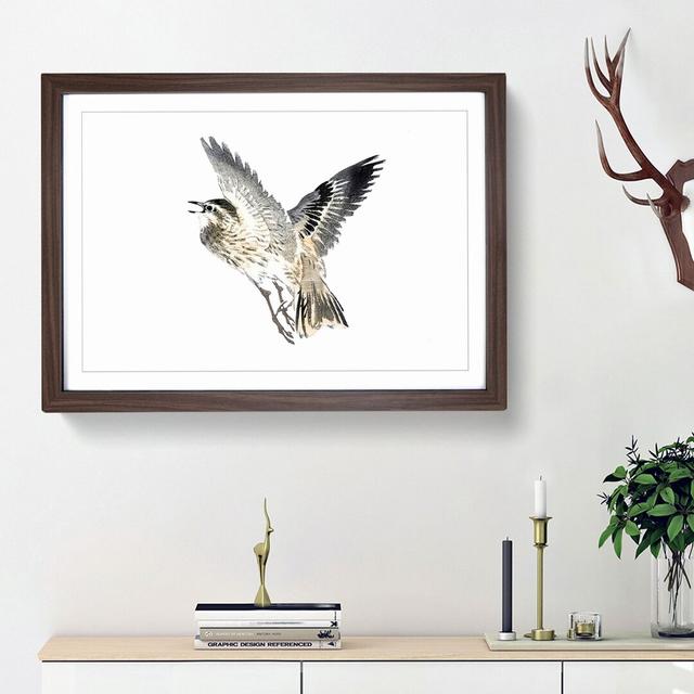 Bird In Flight by Kono Bairei - Single Picture Frame Painting East Urban Home Size: 45cm H x 63cm W x 2cm D, Frame Option: Walnut Framed on Productcaster.