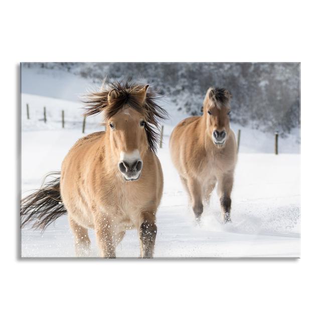 Glasbild Horses in the Snow Gracie Oaks Größe: 70 cm H x 100 cm B x 0,4 cm T on Productcaster.