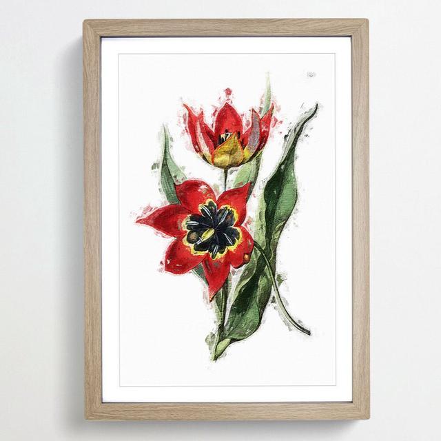 Red & Black Tulip Flowers - Picture Frame Painting Print on MDF East Urban Home Size: 36cm H x 27cm W x 2cm D, Frame Option: Oak Framed on Productcaster.