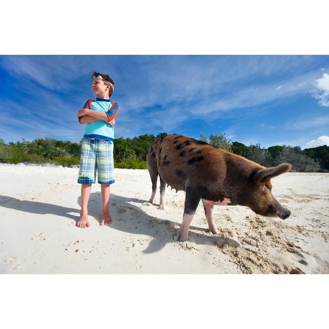 Boy On Exuma Vacation by Shalamov - Wrapped Canvas Print 17 Stories Size: 61cm H x 91cm W on Productcaster.