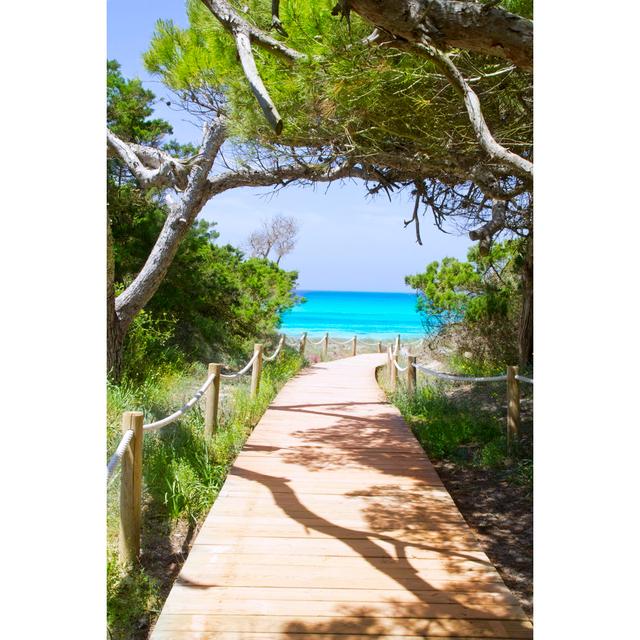 Paradise Beach Formentera House of Hampton Size: 76cm H x 51cm W on Productcaster.