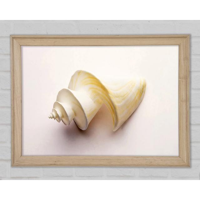 Stunning White Shell Framed Print Highland Dunes Size: 42cm H x 59.7cm W x 1.5cm D on Productcaster.