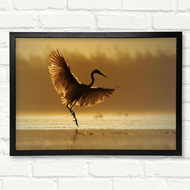 Dancing Sunset Heron Framed Print Highland Dunes Size: 21cm H x 29.7cm W on Productcaster.