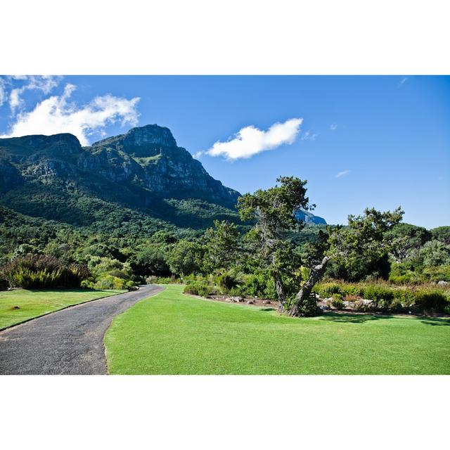 Kirstenbosch Botanical Garden by Edauksa - Wrapped Canvas Art Prints Alpen Home Size: 81cm H x 122cm W 3.8cm D on Productcaster.