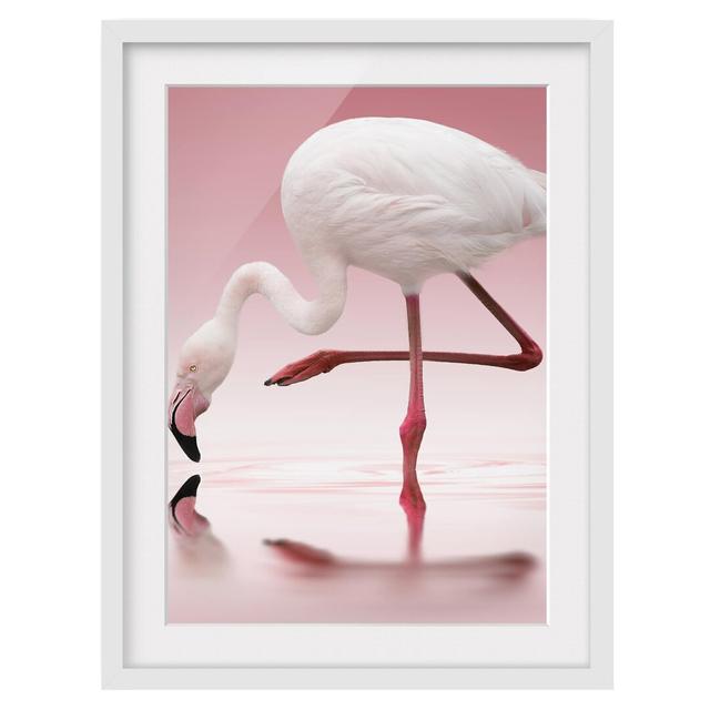 Flamingo Dance - Picture Frame Photograph Print on Paper East Urban Home Frame Options: Matt white, Size: 70cm H x 50cm W on Productcaster.