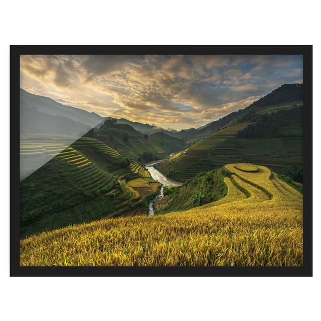 Rice Plantations in Vietnam - Picture Frame Photograph Union Rustic Frame Option: Black Framed, Size: 40cm H x 55cm W x 2cm D on Productcaster.