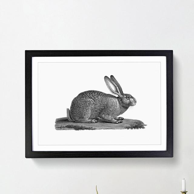 Illustration of a Hare - Picture Frame Drawing Print East Urban Home Frame Option: Black Framed, Size: 48cm H x 65cm W x 2cm D on Productcaster.