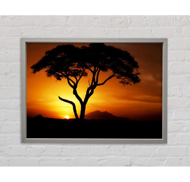 African Tree In Golden Sunlight Framed Print Bright Star Size: 100.1cm H x 141.4cm W x 3.3cm D on Productcaster.