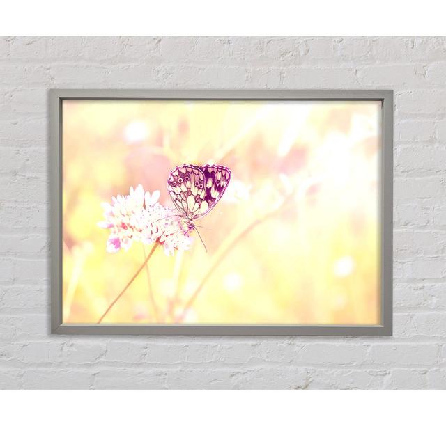 Butterfly Haze - Single Picture Frame Art Prints on Canvas Bright Star Size: 84.1cm H x 118.9cm W x 3.3cm D on Productcaster.