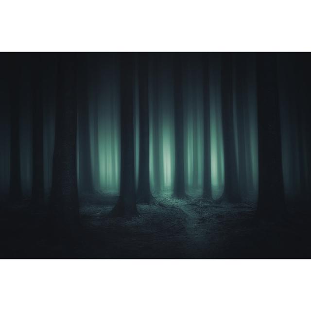 Dark and Scary Forest by Mimadeo - Wrapped Canvas Photograph Alpen Home Size: 81cm H x 122cm W on Productcaster.