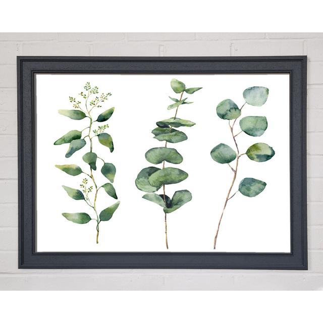 Single Picture Frame Art Prints ClassicLiving Size: 59.7cm H x 84.1cm W x 1.5cm D on Productcaster.