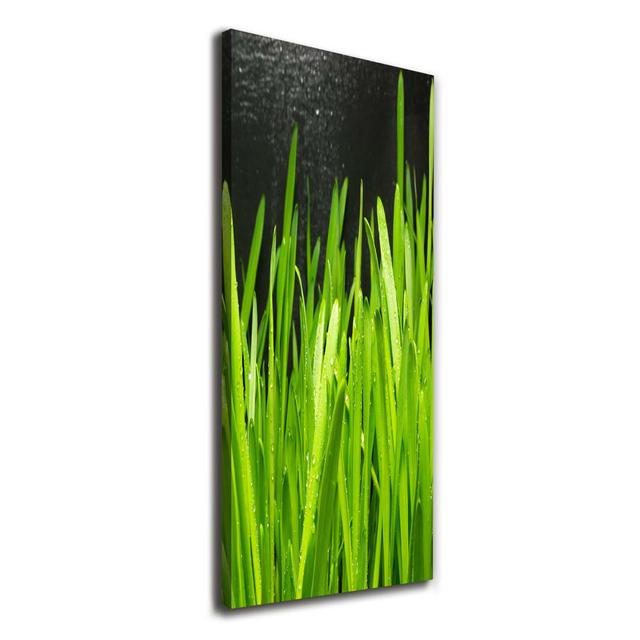 Blades Of Grass - Kunstdrucke auf Leinwand ModernMoments on Productcaster.