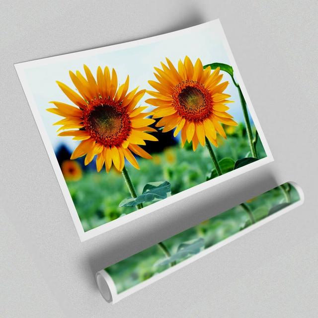 Twin Sunflowers Flowers Print Poster - Graphic Art Print on Paper East Urban Home Size: 84.1cm H x 118.9cm W on Productcaster.