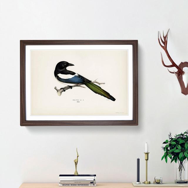 Eurasian Magpie by Von Wright - Picture Frame Painting Print East Urban Home Size: 48cm H x 65cm W x 2cm D, Frame Option: Walnut Framed on Productcaster.