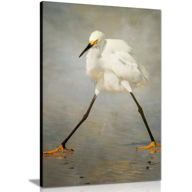 Panther Print Fine Art Prints White Egret Bird On Water Artistic Framed Canvas Print, Pictures For Home Walls, Bedroom, Living Room & Bathroom Decor 7 on Productcaster.