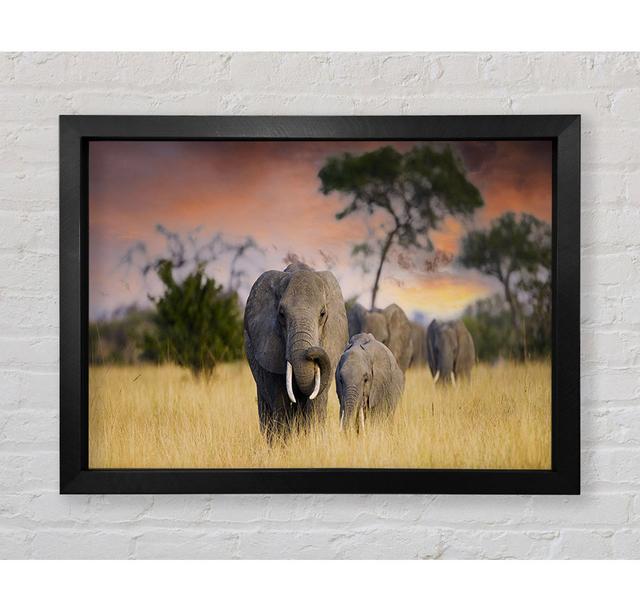 Elephants in Savannah Brayden Studio Size: 42cm H x 59.7cm W x 3.4cm D, Format: Black Framed Paper on Productcaster.