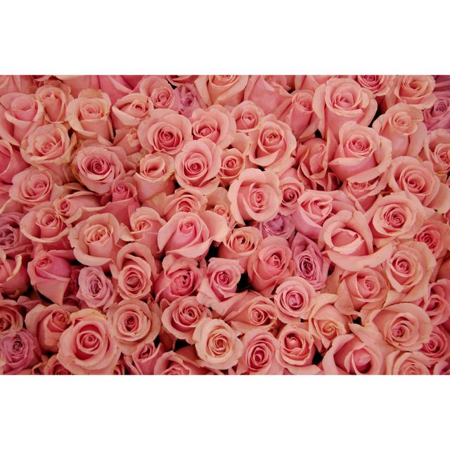 Bed of pale pink roses ClassicLiving Size: 81cm H x 122cm W on Productcaster.