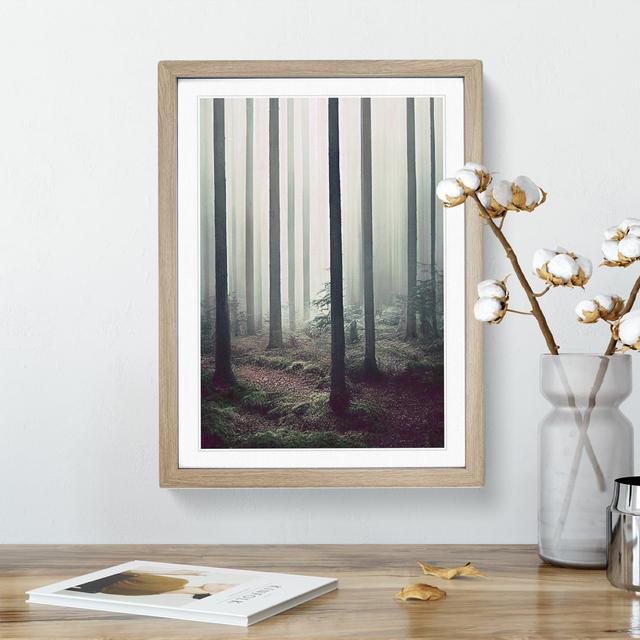 A Quiet Forest - Print Alpen Home Matte Colour: White, Size: 36cm H x 27cm W x 2cm D, Format: Oak Framed on Productcaster.