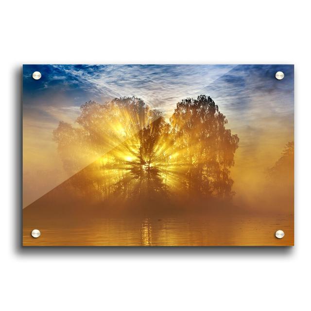 Golden Sunburst Tree - Unframed Photograph Print on Paper East Urban Home Size: 29.7cm H x 42cm W on Productcaster.