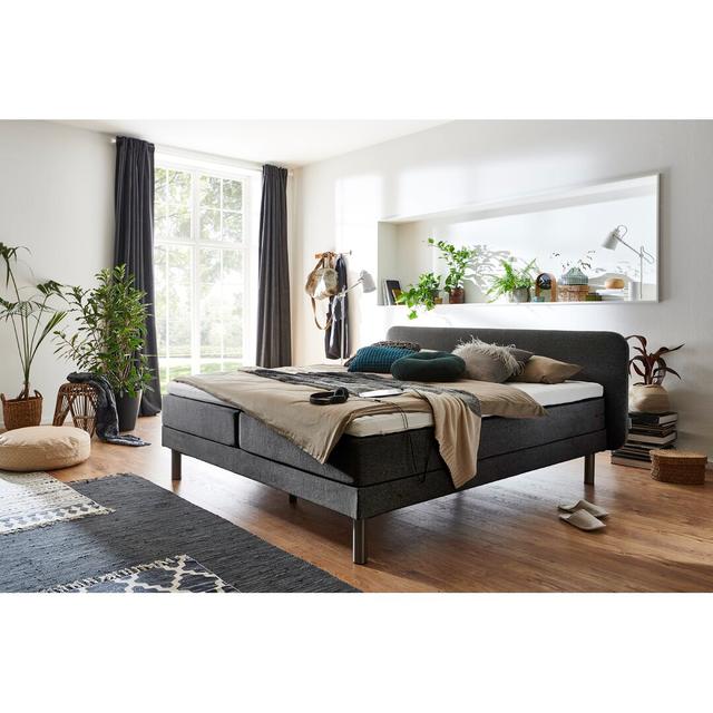 Boxspringbett Mindy mit Topper Latitude Run Colour: Anthracite, Size: 180 x 200 cm on Productcaster.