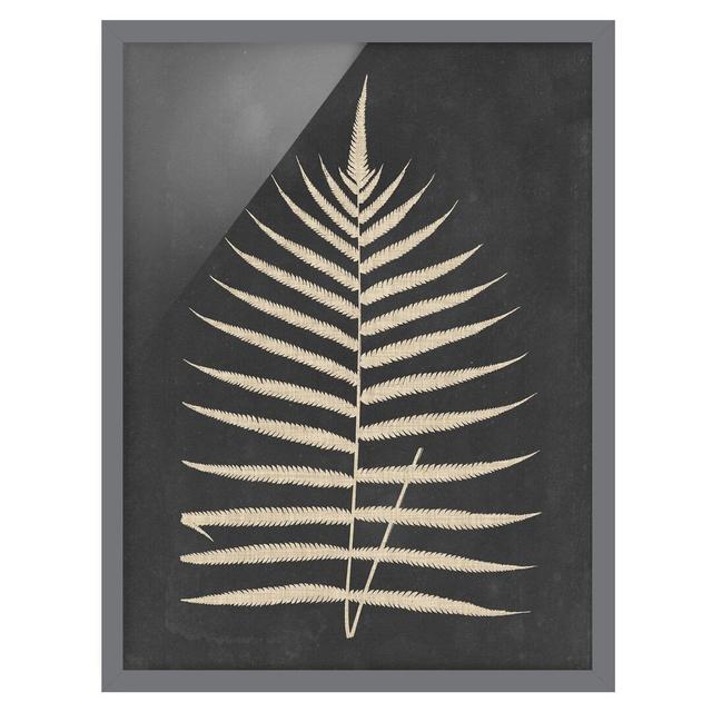 Fern with Linen Structure III - Picture Frame Painting Bay Isle Home Frame Option: Grey Framed, Size: 70cm H x 50cm W x 2cm D on Productcaster.