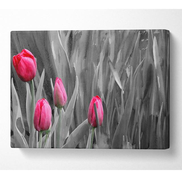 Pink Tulips Black And White Canvas Watercolour Latitude Run Size: 81cm H x 121.9cm W x 10cm D on Productcaster.