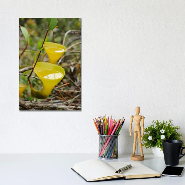 Ch'ien Lee - Wrapped Canvas Print ClassicLiving Size: 30.48cm H x 20.32cm x W 1.91cm D on Productcaster.