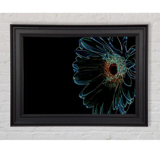 Night Flower Framed Print Brayden Studio Size: 21cm H x 42cm W on Productcaster.