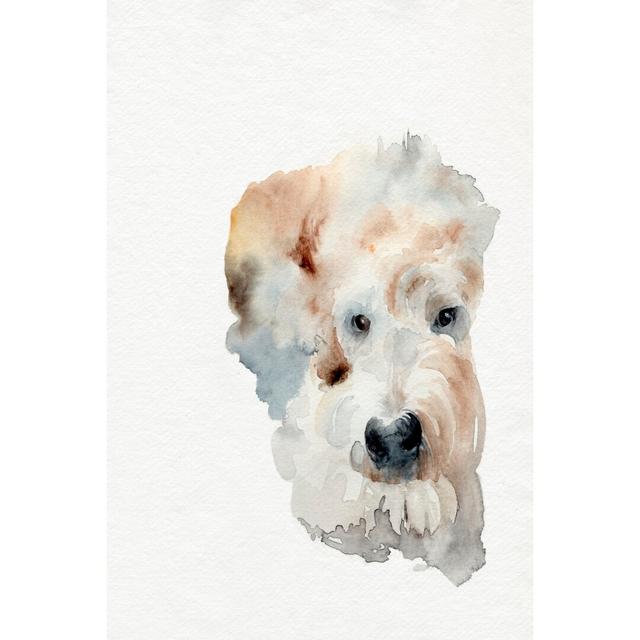 Scruffy Puppy I by Jennifer Paxton Parker - Print Rosalind Wheeler Size: 46cm H x 30cm W on Productcaster.