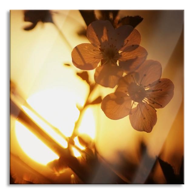 Flowers on the Tree - Unframed Photograph on Glass Brayden Studio Size: 70cm H x 70cm W x 0.4cm D on Productcaster.