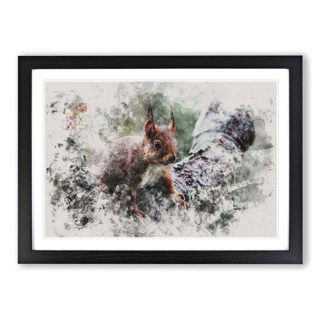 Red Squirrel Vol.1 - Picture Frame Painting East Urban Home Size: 27cm H x 36cm W x 2cm D, Frame Option: Black Framed on Productcaster.