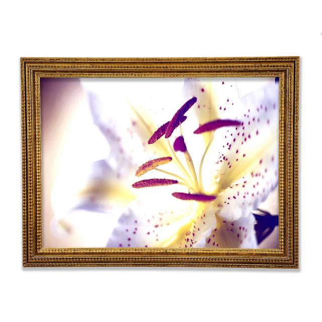 White Tiger Lily - Single Picture Frame Art Prints Ebern Designs Size: 42cm H x 59.7cm W x 3cm D on Productcaster.