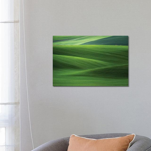 Europe, Czech Republic. Moravia Wheat Fields. by Jaynes Gallery - Wrapped Canvas Print Latitude Run Size: 45.72cm H x 66.04cm W x 1.91cm D on Productcaster.