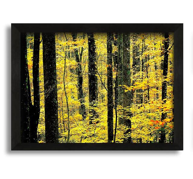 Yellow Woodland - Picture Frame Photograph on Canvas Union Rustic on Productcaster.