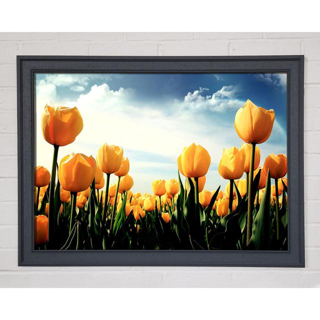 Single Picture Frame Art Prints Ebern Designs Size: 42cm H x 59.7cm W x 10cm D, Format: White Framed Paper on Productcaster.