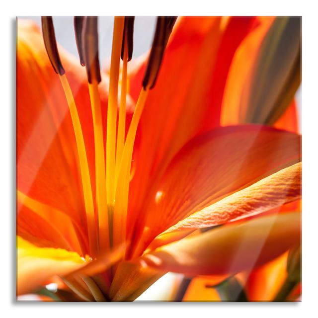 Orange Lily Close-Up - Unframed Photograph on Glass Brayden Studio Size: 80cm H x 80cm W x 0.4cm D on Productcaster.