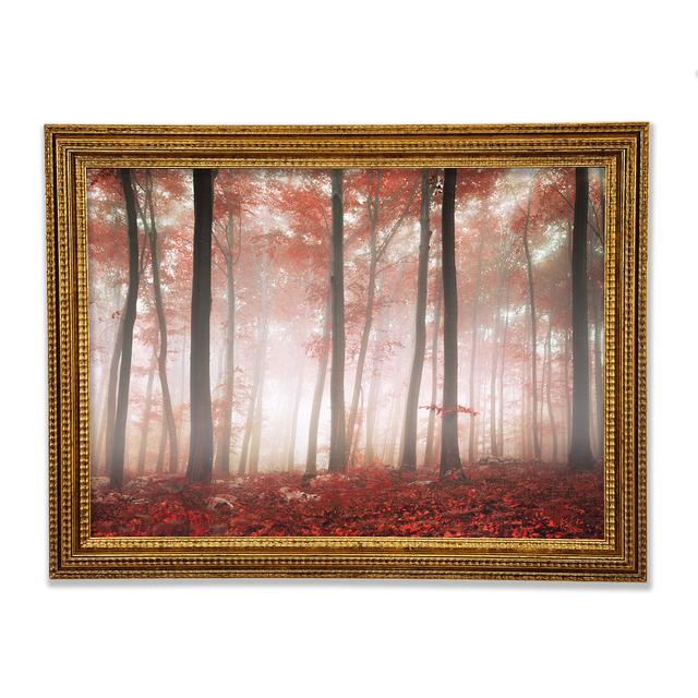 Red Misty Woods - Single Picture Frame Art Prints Union Rustic Size: 42.1cm H x 59.7cm W x 3cm D on Productcaster.