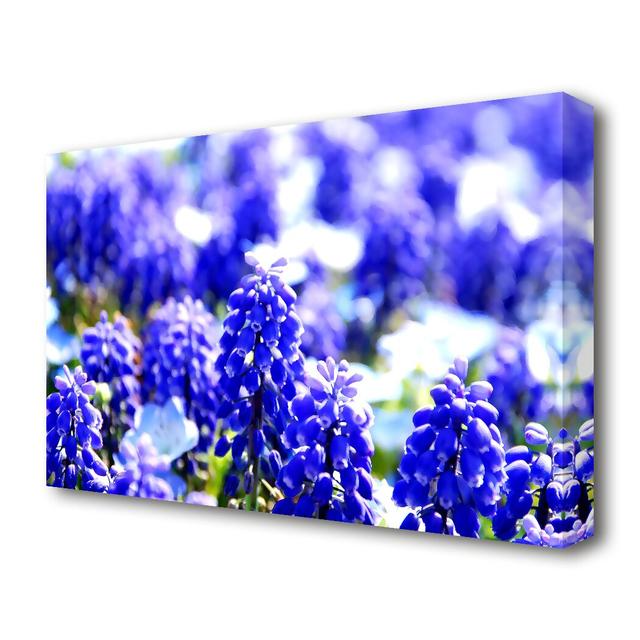 Grape Hyacinths Flowers Canvas Print Wall Art East Urban Home Size: 101.6 cm H x 142.2 cm W on Productcaster.