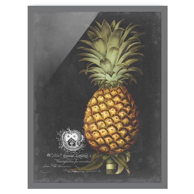 Vintage Royal Foliage on Black V - Picture Frame Graphic Art Bay Isle Home Size: 40cm H x 30cm W x 2cm D, Frame Option: Grey on Productcaster.