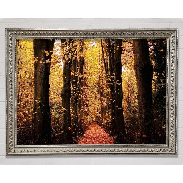 Woodland Walkway Gerahmter Druck Union Rustic Größe: 100 cm H x 141,4 cm B, Format: Silver Framed Paper on Productcaster.