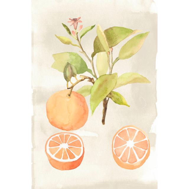 Watercolour Fruit V by Naomi McCavitt - Wrapped Canvas Painting Brambly Cottage Size: 46cm H x 30cm W on Productcaster.