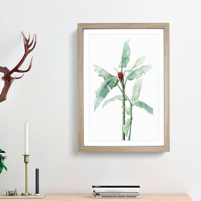 Scarlet Banana Plant by Pierre-Joseph Redoute - Picture Frame Painting Print East Urban Home Size: 65cm H x 48cm W x 2cm D, Frame Option: Oak Framed on Productcaster.