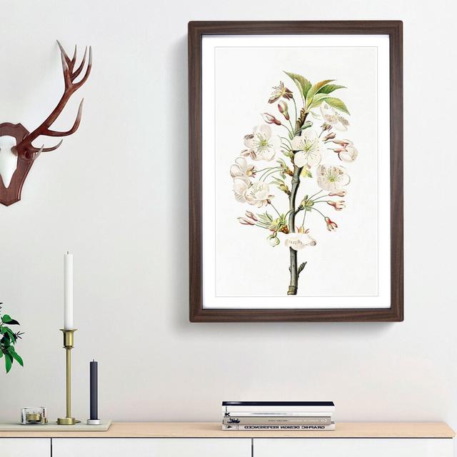 Pear Tree Flowers by Giorgio Gallesio - Picture Frame Painting Print East Urban Home Frame Option: Walnut Framed, Size: 48cm H x 36cm W x 2cm D on Productcaster.