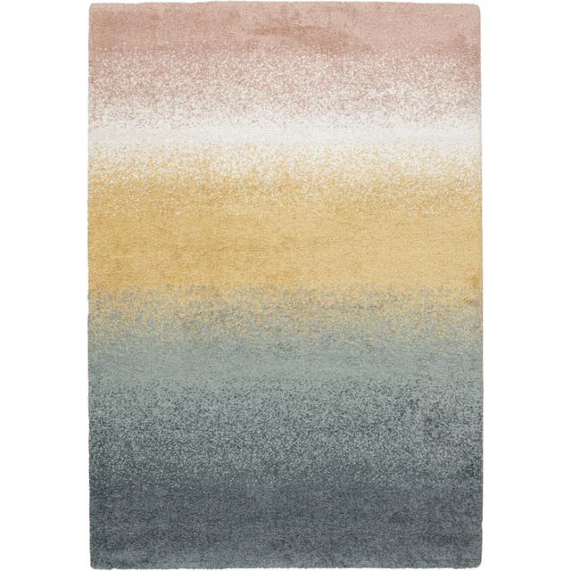 Anyelina Ombre Machine Woven Area Rug Brayden Studio Rug Size: Rectangle 200 x 290cm on Productcaster.