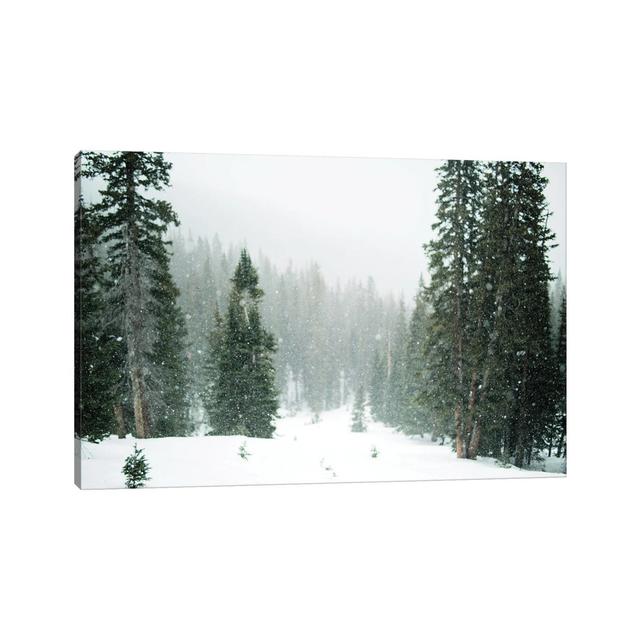 Winter Forest by Karen Mandau - Wrapped Canvas Print Alpen Home Size: 20.32cm H x 30.48cm W x 1.91cm D on Productcaster.