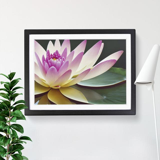 Innovative Water Lily Flower - Picture Frame Photograph World Menagerie Frame Colour: Black, Size: 34cm H x 46cm W x 2cm D on Productcaster.