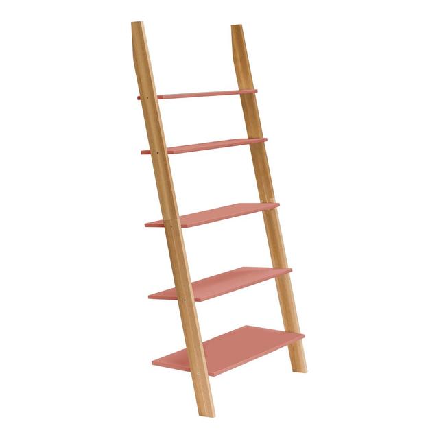 Leonard Ladder Bookcase Zipcode Design Size: H180 x W85 x D35cm, Colour: Antique Pink on Productcaster.