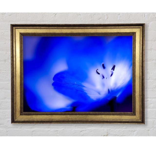 Single Picture Frame Art Prints Bright Star Size: 42cm H x 59.7cm W x 8cm D on Productcaster.